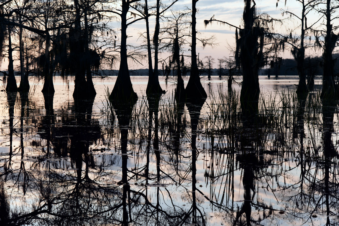 Caddo Lake 032913-379