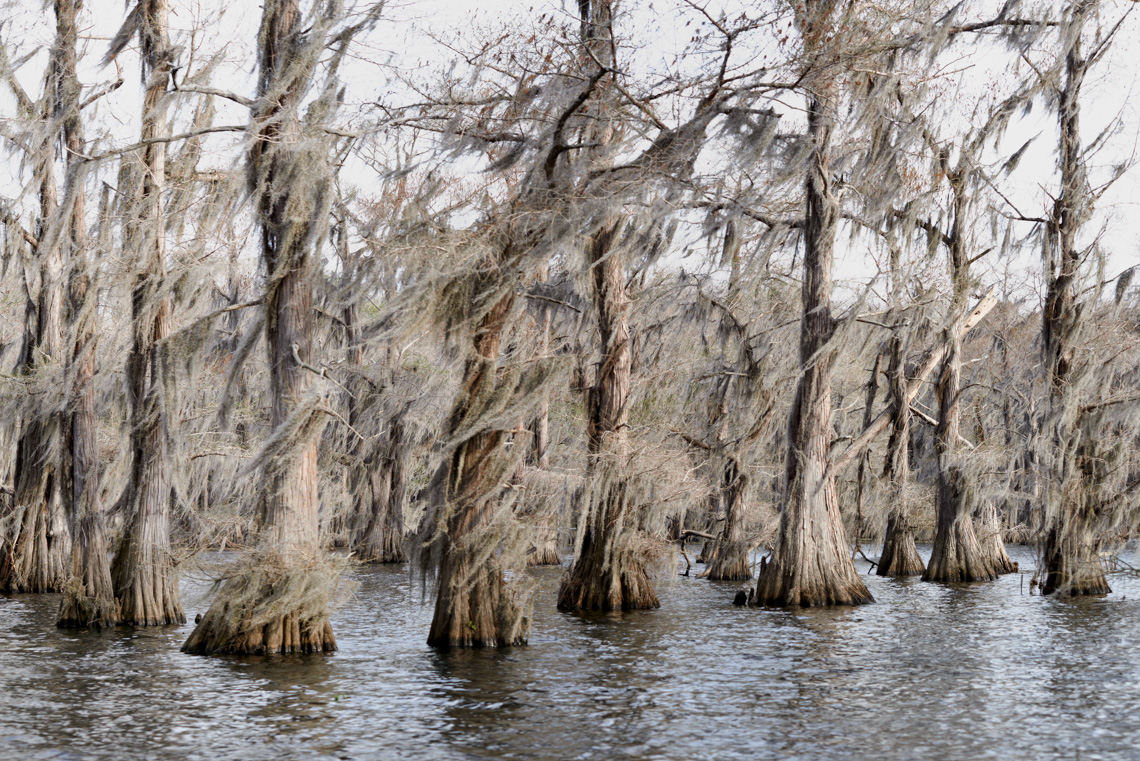 Caddo Lake 040614-0703