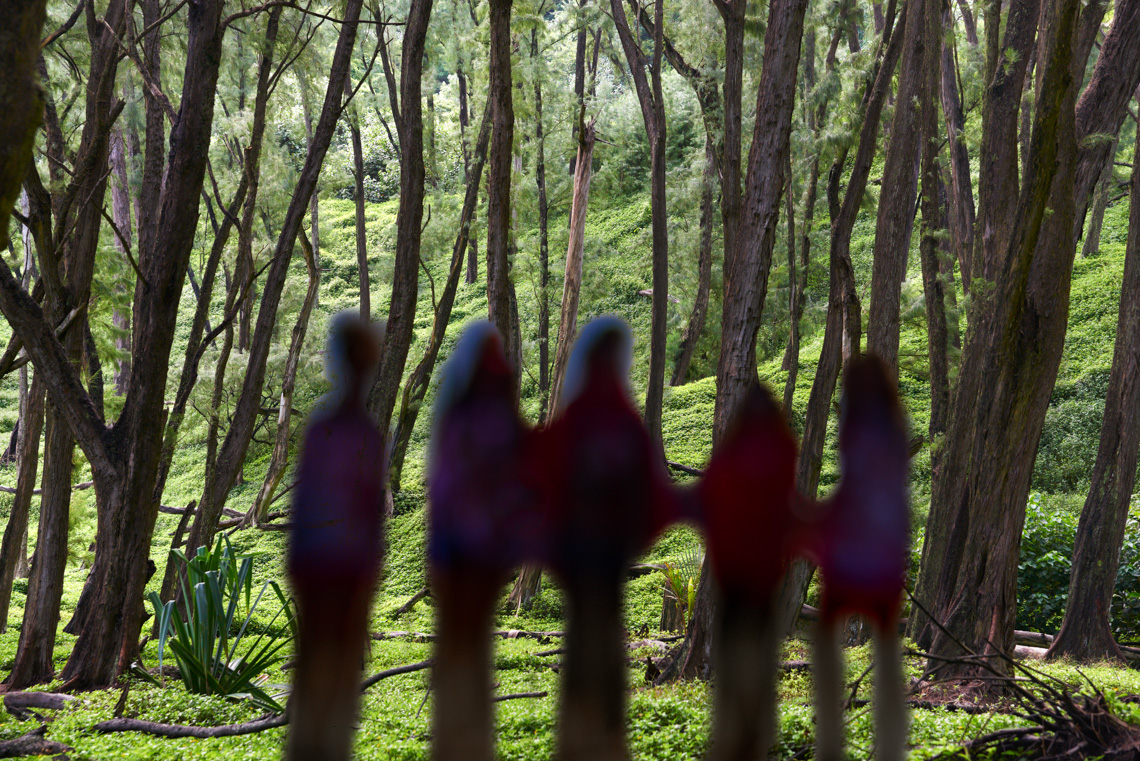 Composite1 Hawaii3 102515-202