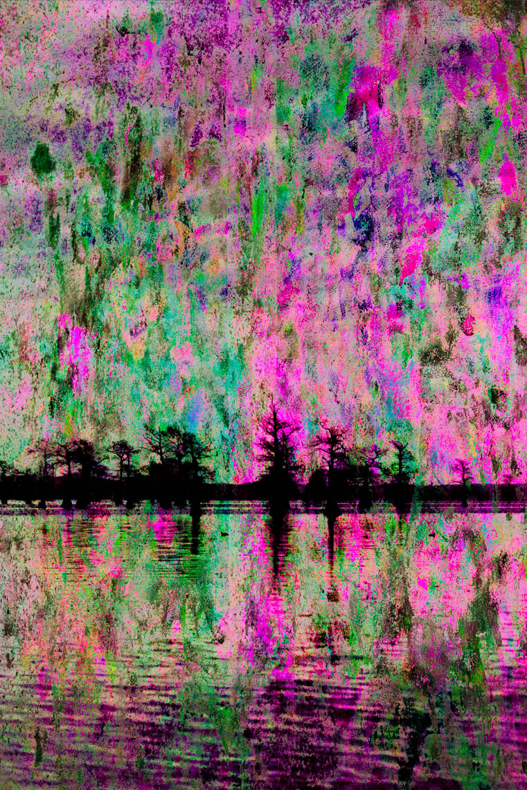 Composite1 Caddo Lake 032913-34fl