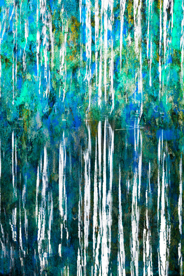 Composite4 Caddo Lake 040614-1668fl