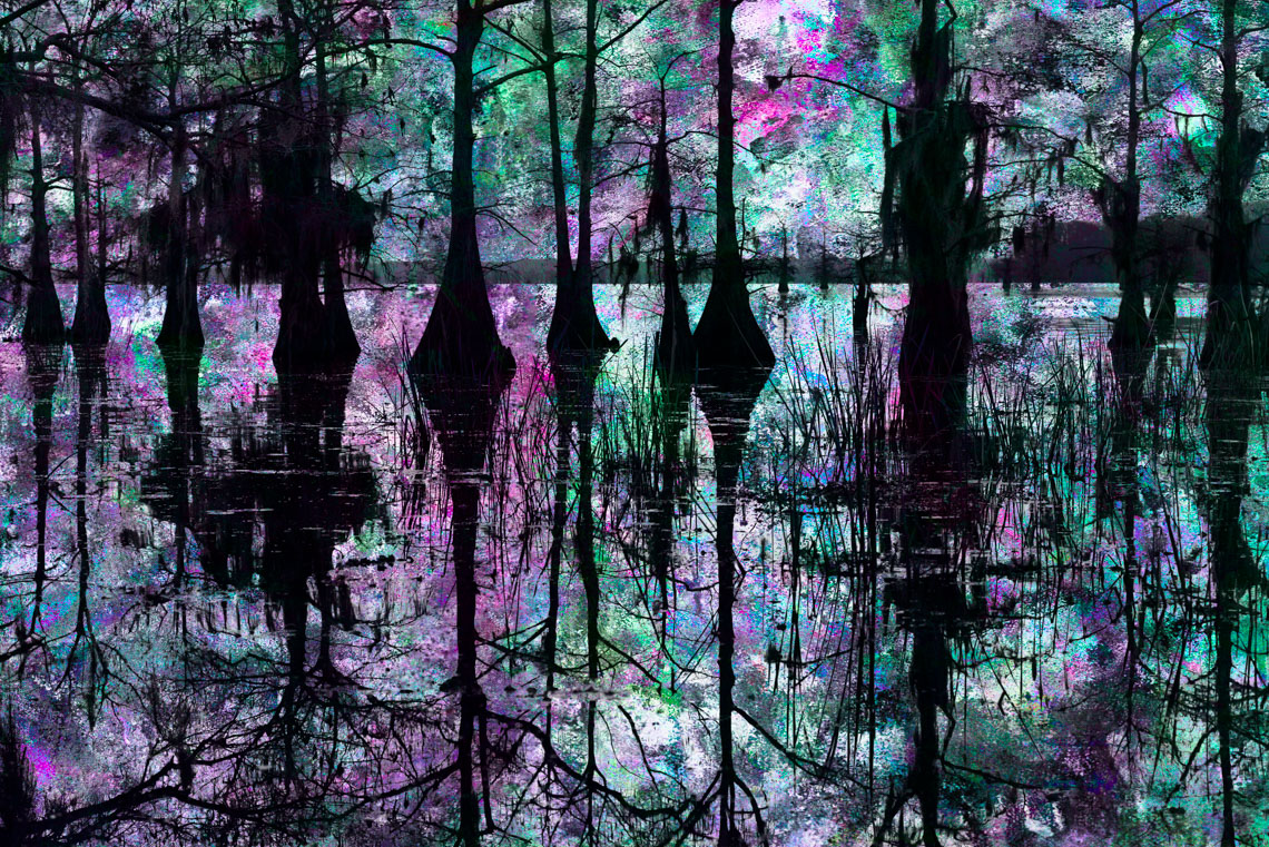 Composite5 Caddo Lake 032913-379fl